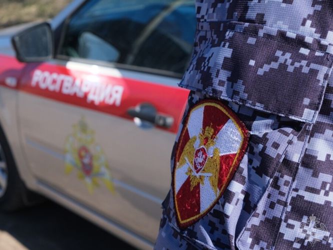 Росгвардейцы задержали похитительницу кондитерских изделий из магазина (ВИДЕО)
