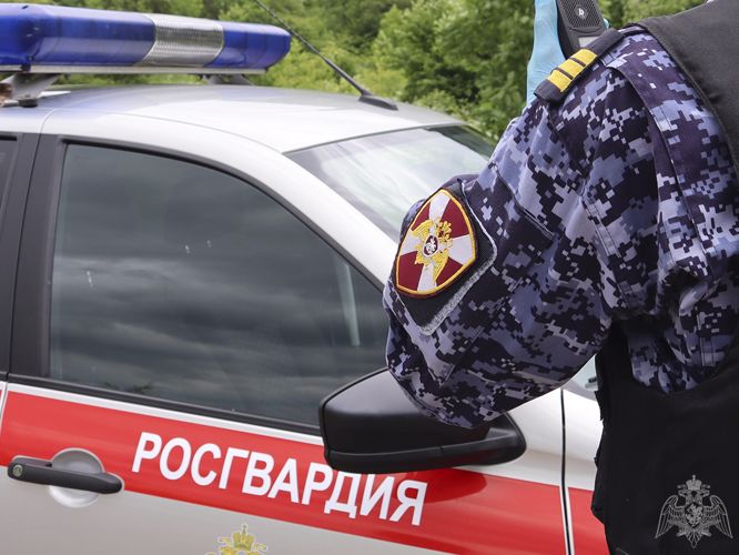 Благодаря бдительности работников торговли росгвардейцы задержали магазинного вора