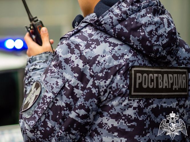 Росгвардейцы задержали серийную похитительницу элитного алкоголя (ВИДЕО)