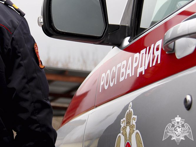 Росгвардейцы задержали топкинца, который похитил у сожительницы смартфон