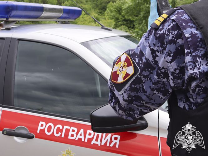 Росгвардейцы задержали подозреваемого в совершении серии преступлений (ВИДЕО)