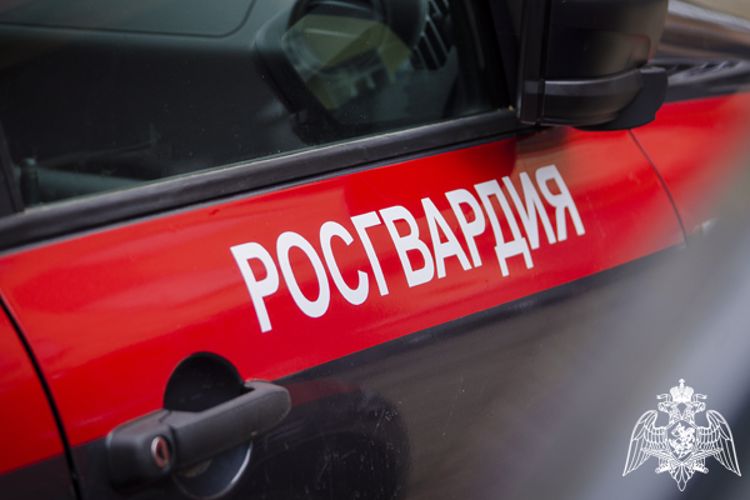 Росгвардейцы задержали подозреваемого, похитившего телефон у знакомой