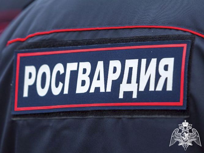 Росгвардейцы задержали рецидивистку, которая после неудачной кражи избила продавца