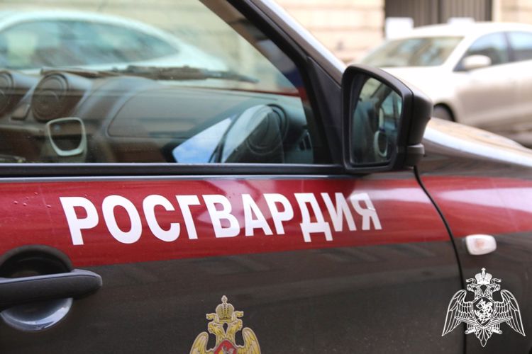 Росгвардейцы задержали похитителя из бутика брендовой одежды (ВИДЕО)