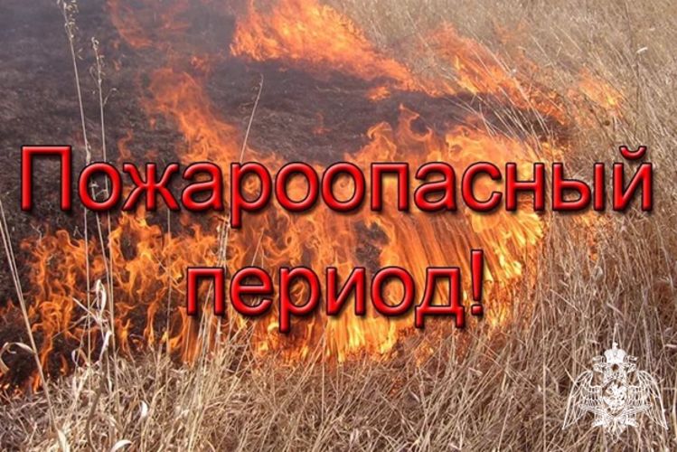 Инспекция пожарной безопасности Сибирского округа Росгвардии информирует о наступлении весенне-летнего пожароопасного периода