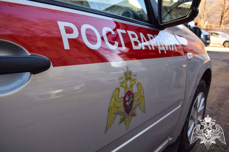 Росгвардейцы задержали сожителей за кражу товара из супермаркета
