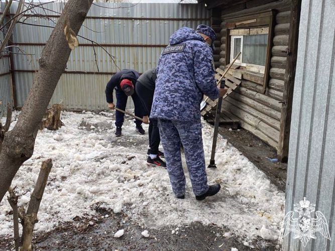 Росгвардейцы оказали помощь приюту для бездомных животных