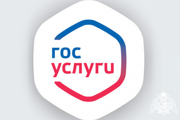 Росгвардия информирует, что списанное оружие можно зарегистрировать через портал Госуслуг