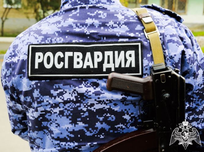 Росгвардейцы задержали подозреваемого в краже ювелирных украшений из частного дома (ВИДЕО)