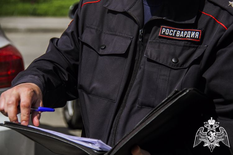 Росгвардейцы пресекли противоправные действия и задержали виновника, повредившего автомобиль (ФОТО)