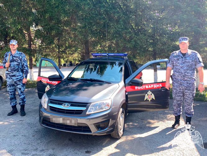 Росгвардейцы задержали похитителя сыра из охраняемой торговой точки (ВИДЕО)