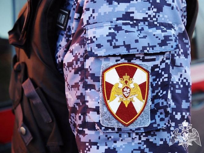 Росгвардейцы задержали похитительницу 27 кусков сыра