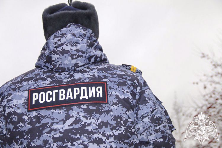 Запись с камер видеонаблюдения помогла в розыске подозреваемого в краже