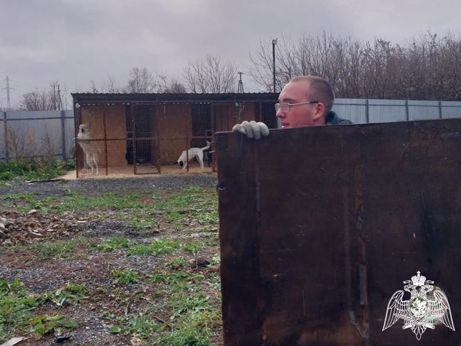 Росгвардейцы оказали практическую помощь приюту для бездомных животных