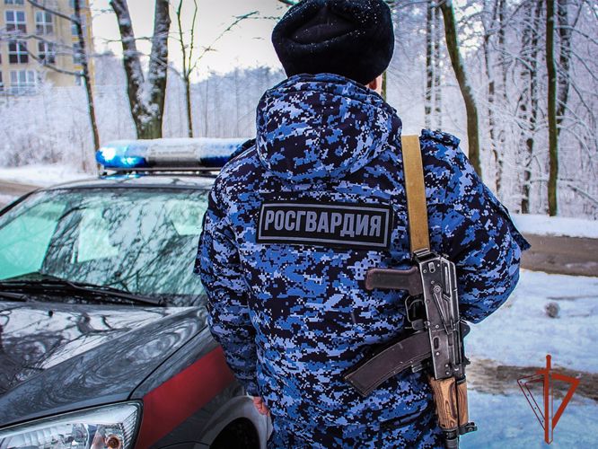 Росгвардейцы задержали очередного похитителя сыра из торговой точки (ВИДЕО)