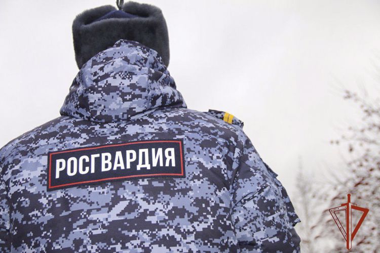 Росгвардейцы задержали злоумышленницу, ранившую своего брата ножом