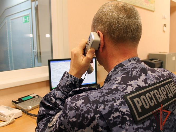 Росгвардейцы задержали злоумышленника, избившего свою сожительницу