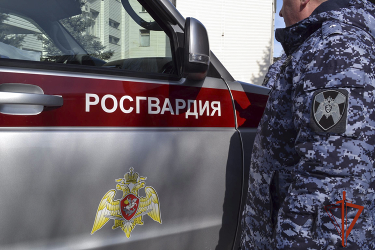 Росгвардейцы задержали серийного магазинного вора (ВИДЕО)