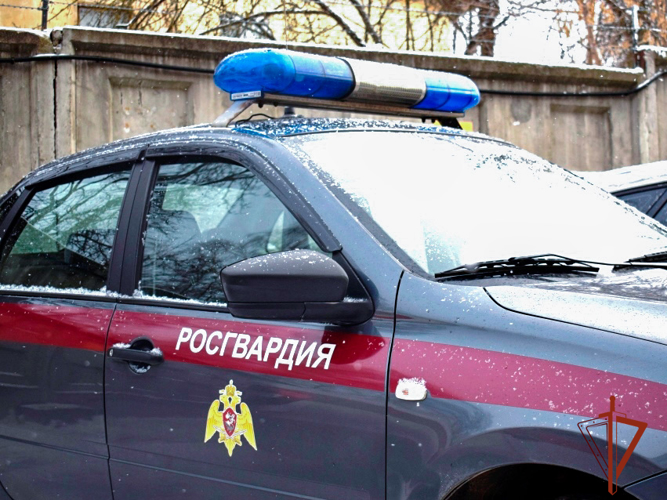 Росгвардейцы задержали подозреваемого в хищении чужого имущества из камеры хранения (ВИДЕО)