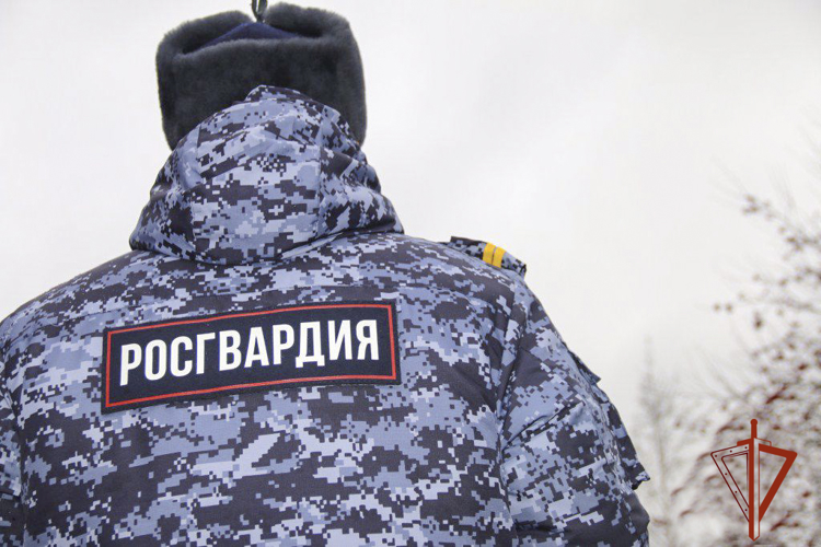Росгвардейцы задержали рецидивиста, подозреваемого в хищении из магазина электроники (ВИДЕО)