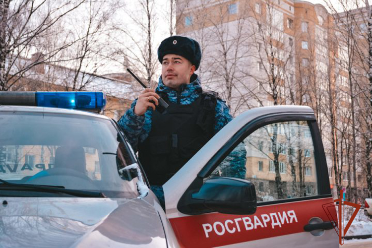 Беловские росгвардейцы разыскали серийного похитителя электроники (ВИДЕО)