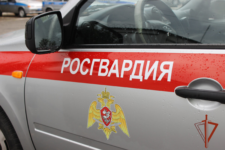 Росгвардейцы разыскали рецидивиста, подозреваемого в краже из торговой точки 