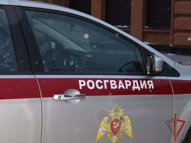 Росгвардейцы задержали рецидивиста, похитившего алкоголь из охраняемой торговой точки (ВИДЕО)