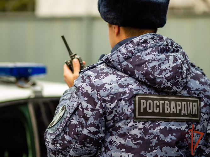 Росгвардейцы задержали горожанина, решившего «сэкономить» на алкоголе в торговой точке (ВИДЕО)
