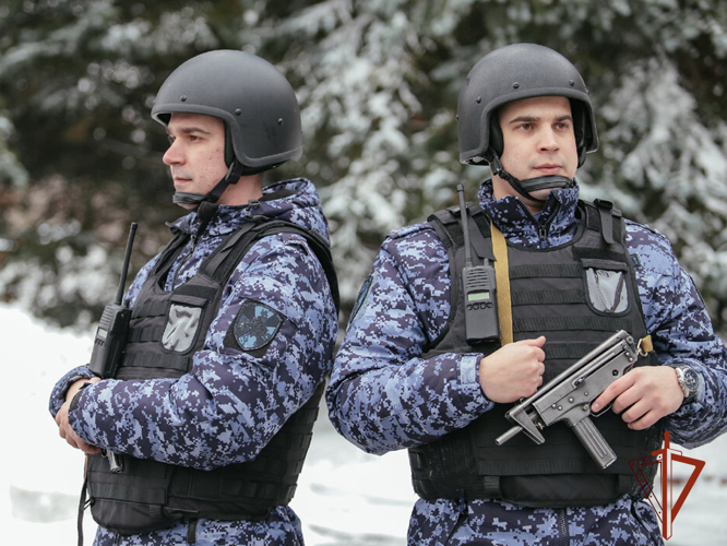 Росгвардейцы задержали разыскиваемого в двух городах горожанина за кражи цифровой техники