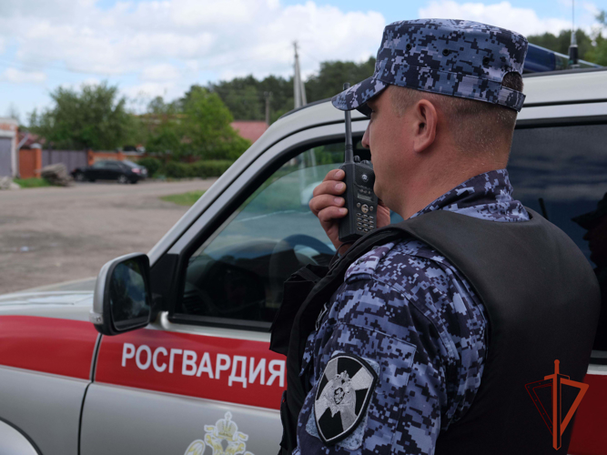 Росгвардейцы задержали горожанина, который может быть причастен к хищению телефона из автомобиля (ВИДЕО)