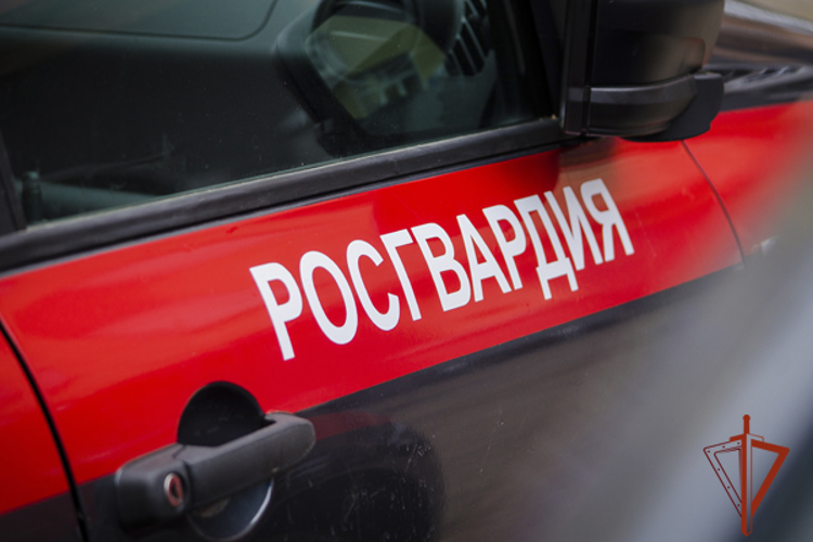 Росгвардейцы задержали предполагаемого похитителя элитного спиртного на сумму более 38 000 рублей (ВИДЕО)
