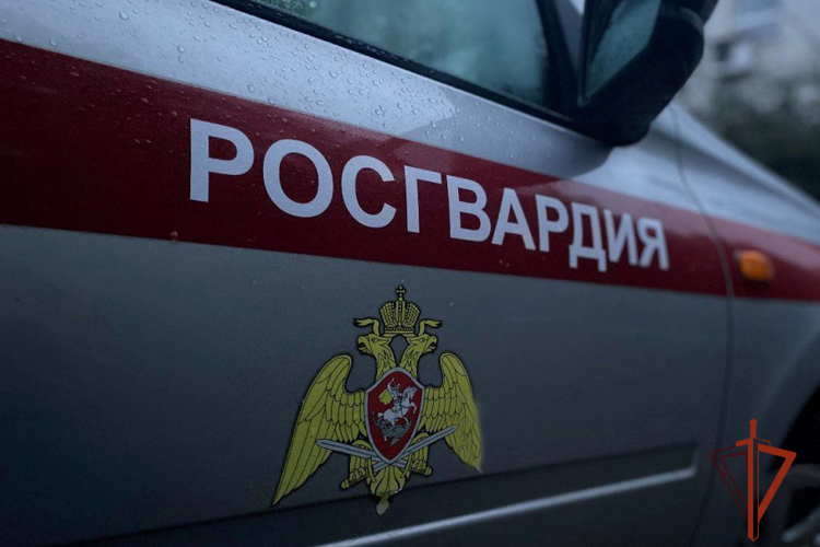 Росгвардейцы задержали мужчину, который на фоне ссоры напал на сожительницу 