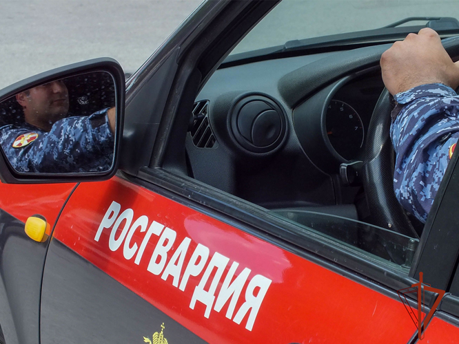 Юргинские росгвардейцы задержали девушку за нападение на знакомого с ножом (ФОТО)