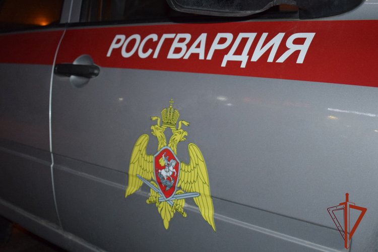 Росгвардейцы задержали злоумышленника, похитившего около 200 упаковок жевательной резинки (ФОТО)