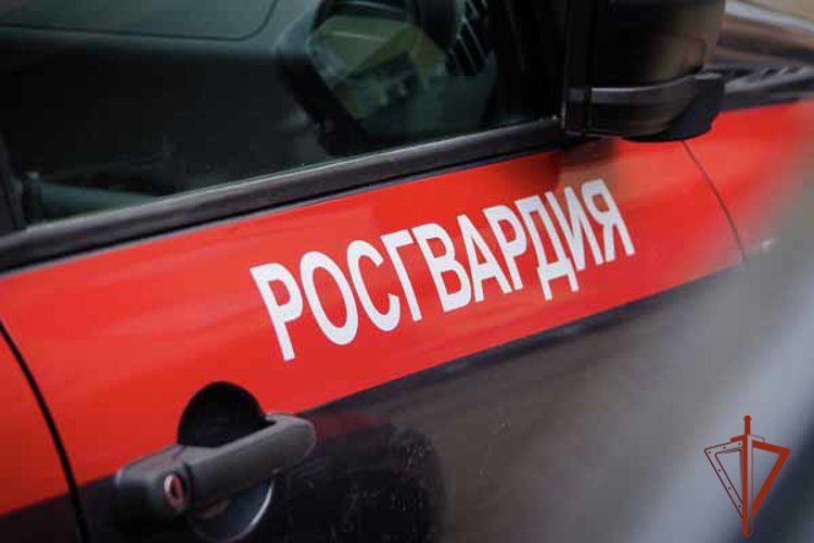 Росгвардейцы задержали похитителя красной рыбы из супермаркета (ВИДЕО)