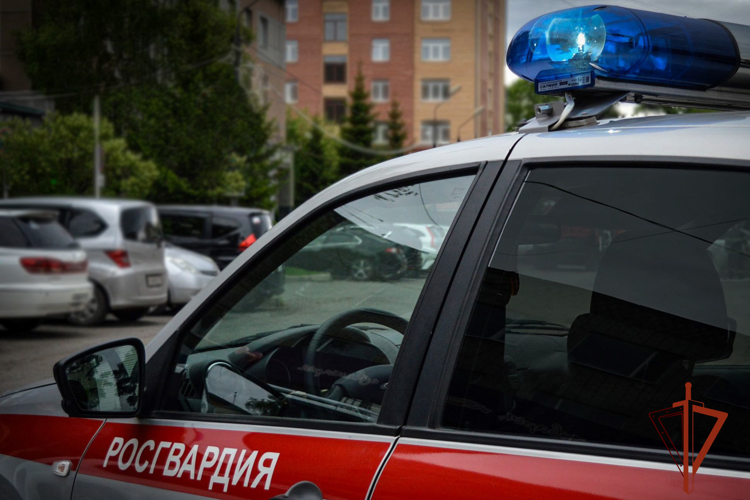 Росгвардейцы задержали злоумышленника, который повредил автомобиль горожанина