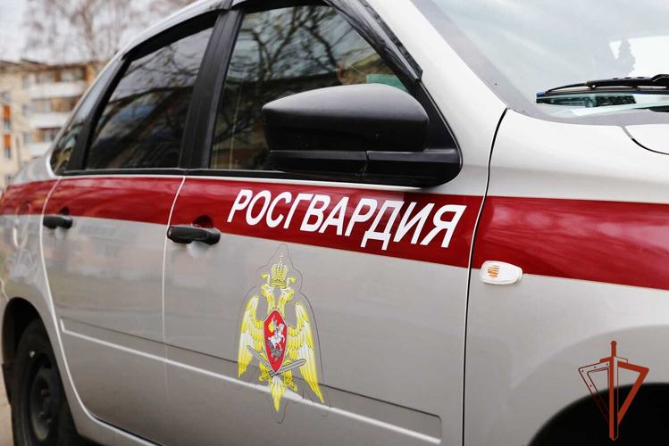 Росгвардейцы задержали предполагаемого серийного вора в магазине бытовой техники