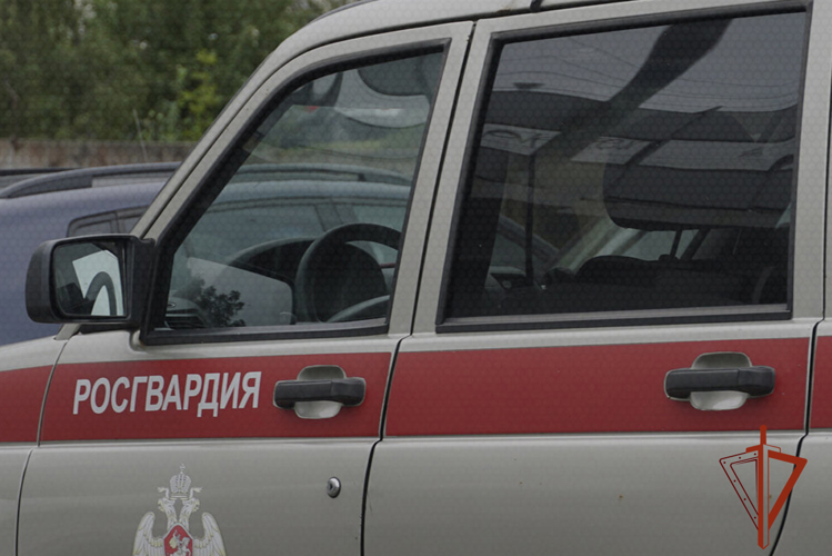 Росгвардейцы задержали молодого человека, который пытался похитить почти 40 упаковок с шампунем
