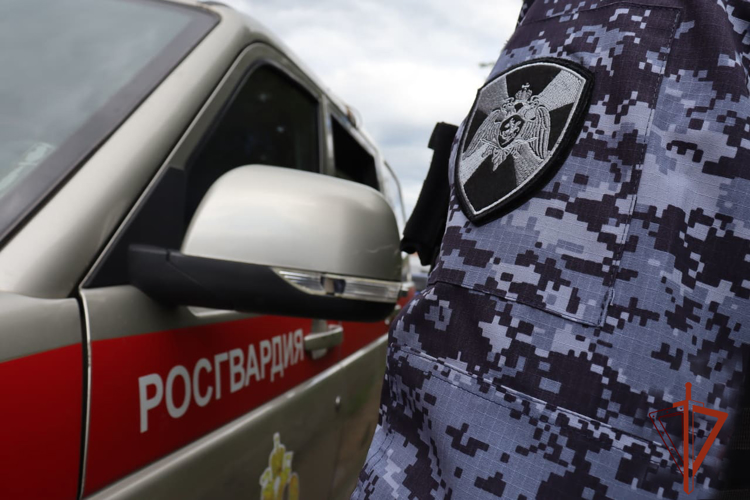 Росгвардейцы задержали гражданку, спрятавшую неоплаченный товар в пакет с посылками (ВИДЕО)