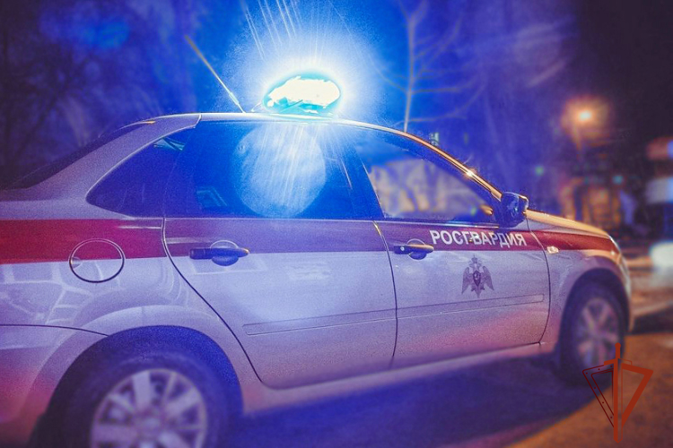 Росгвардия задержала мужчину, напавшего на игровой автомат в ТРЦ (ФОТО)