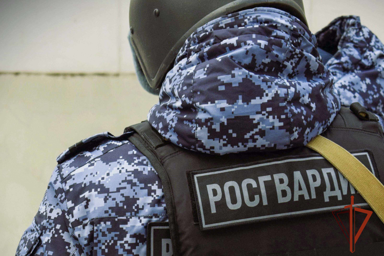 Росгвардейцы задержали злоумышленника, разбившего окна в квартире бывшей возлюбленной (ФОТО)
