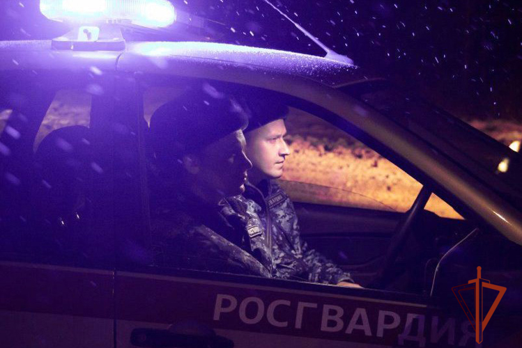 Росгвардейцы задержали мужчину, который может быть причастен к нападению на соседку с деревянным бруском