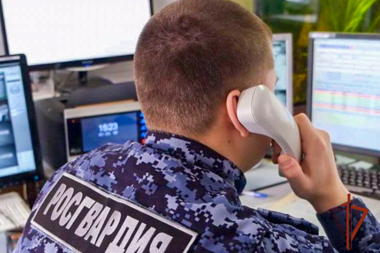 Росгвардейцы задержали похитителя «партии» оливкового масла (ВИДЕО)