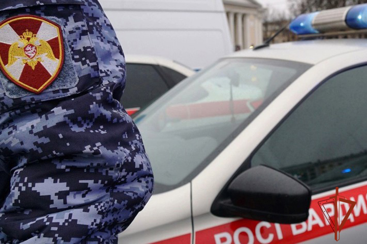 Росгвардейцы защитили новокузнечанку от сожителя, который нанес ей удар табуретом