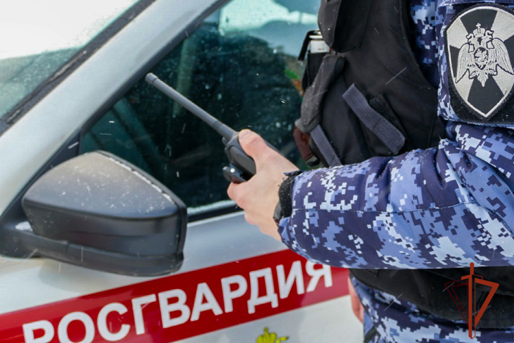 Росгвардейцы задержали мужчину, который может быть причастен к грабежу из магазина косметики (ВИДЕО)