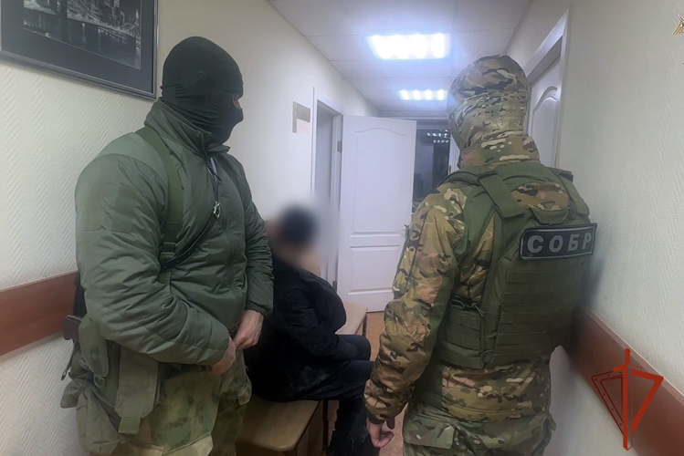 СОБР Росгвардии оказал содействие при задержании организатора заказного убийства