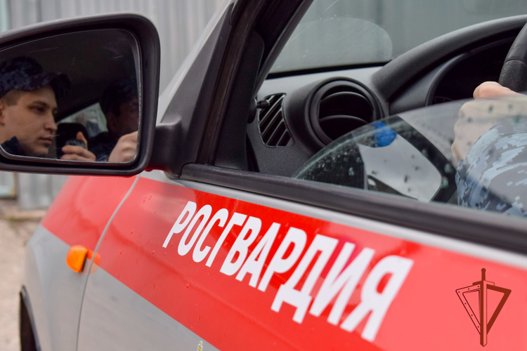 Росгвардейцы задержали мужчину, который может быть причастен к причинению ножевого ранения прохожему