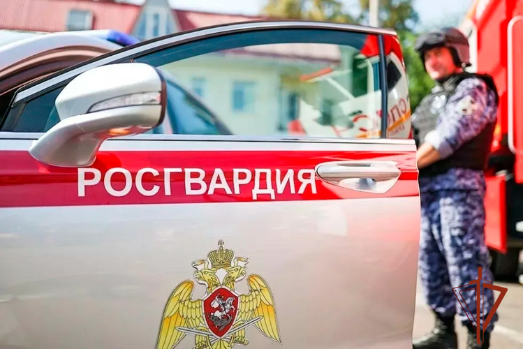 Росгвардейцы задержали разыскиваемого за совершение тяжкого ДТП предполагаемого виновника