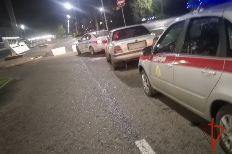 Росгвардейцы задержали нетрезвого лихача, пытавшегося после остановки авто скрыться бегством (ВИДЕО)