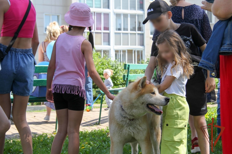 В Кузбассе Росгвардия организовала праздничное мероприятие для детей, приуроченное ко Дню защиты детей